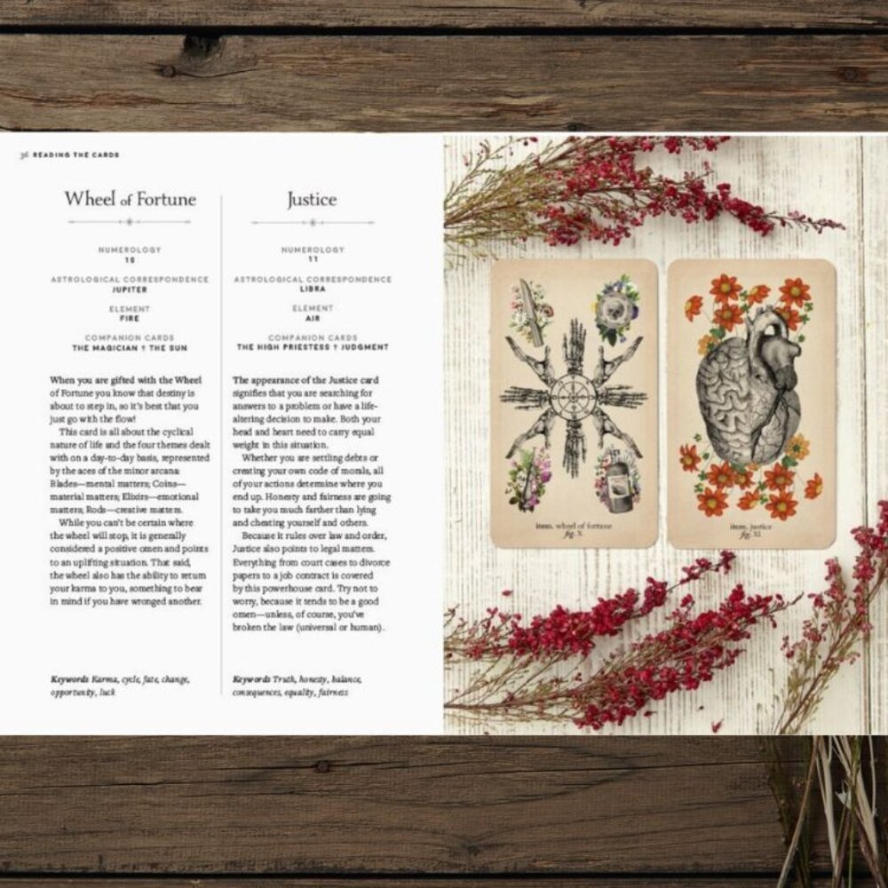 Antique Anatomy Tarot Deck | 78-Card Tarot with Guidebook | Gift Ready - Picture 12 of 16